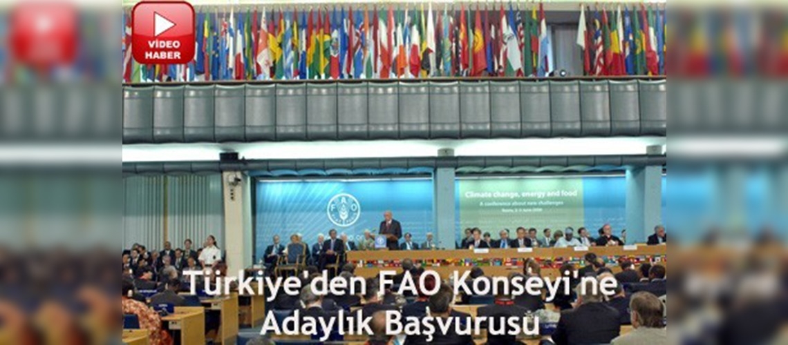 FAOnun üst yönetimine adayız