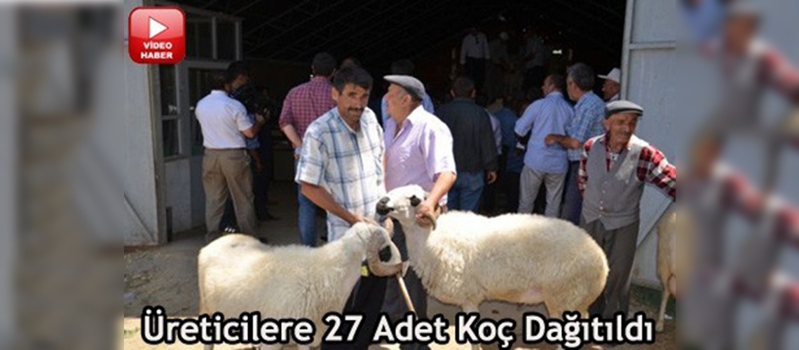 Amasyada küçükbaş hayvancılığa destek