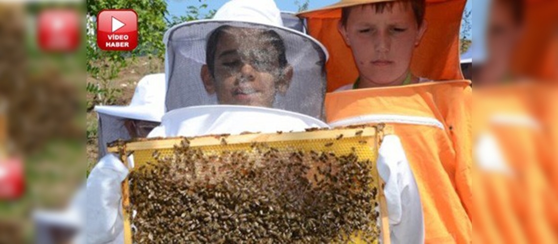 Türkiye'nin ilk Arı ve Çocuk Projesi Düzcede