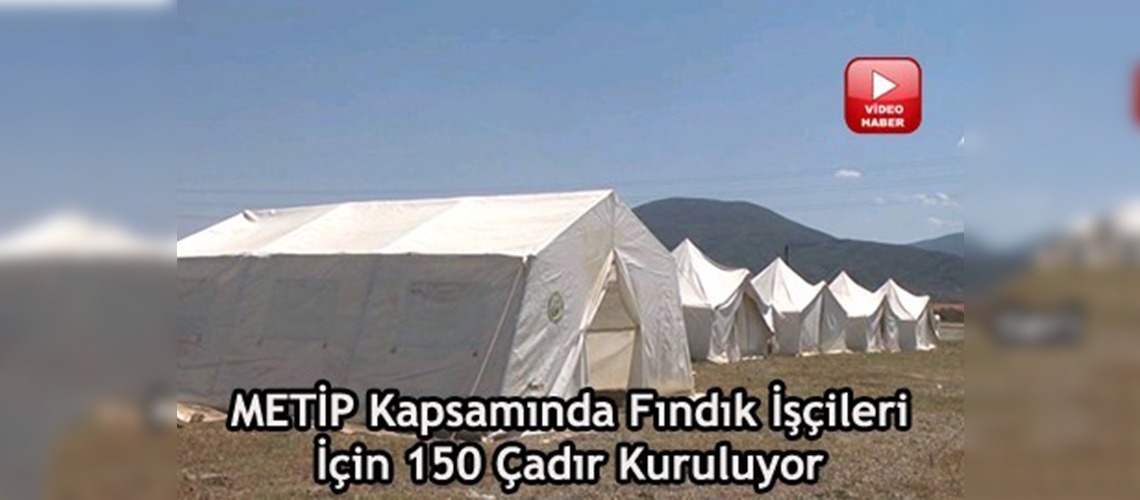 Düzce fındık sezonuna hazırlanıyor 