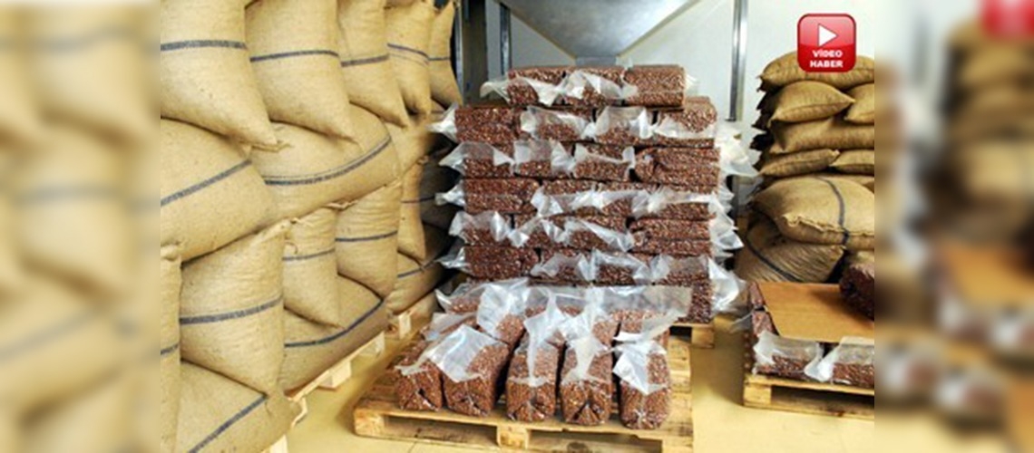 Aflatoksin hem üreticiye hem ülkeye kaybettiriyor 