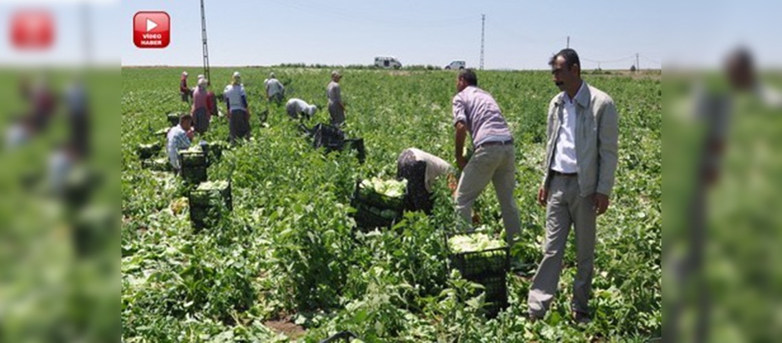 Türkiyenin aysbergini Ankara üretiyor
