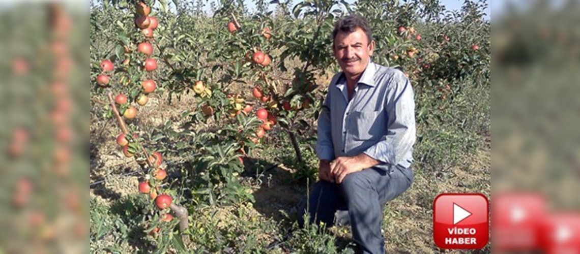 Konyalı çiftçinin başarısı