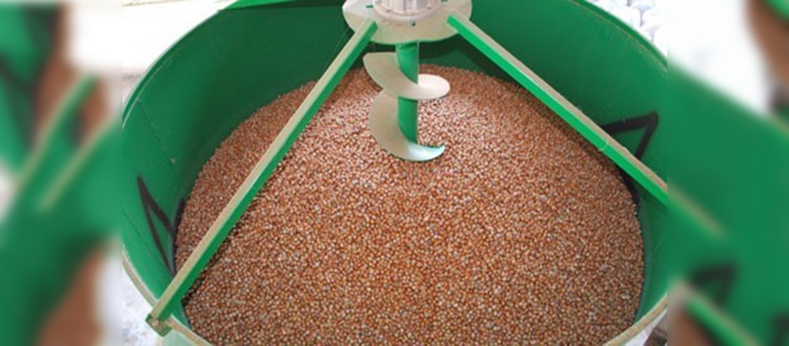 Fındıkta aflatoksine karşı makineli kurutma