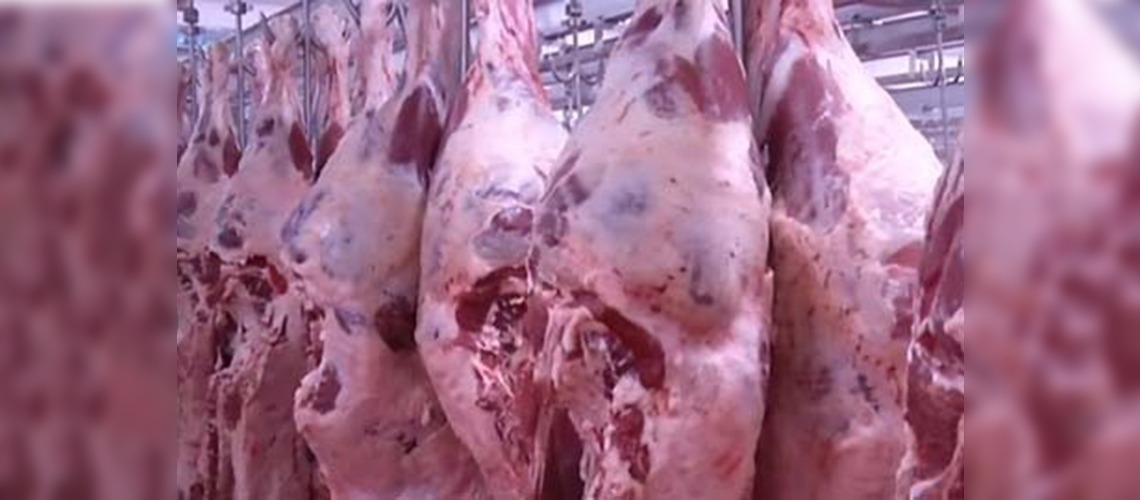 Türkiye hayvancılıkta 