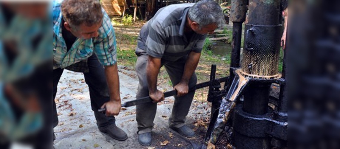 Sığla yağının üretimine başlandı