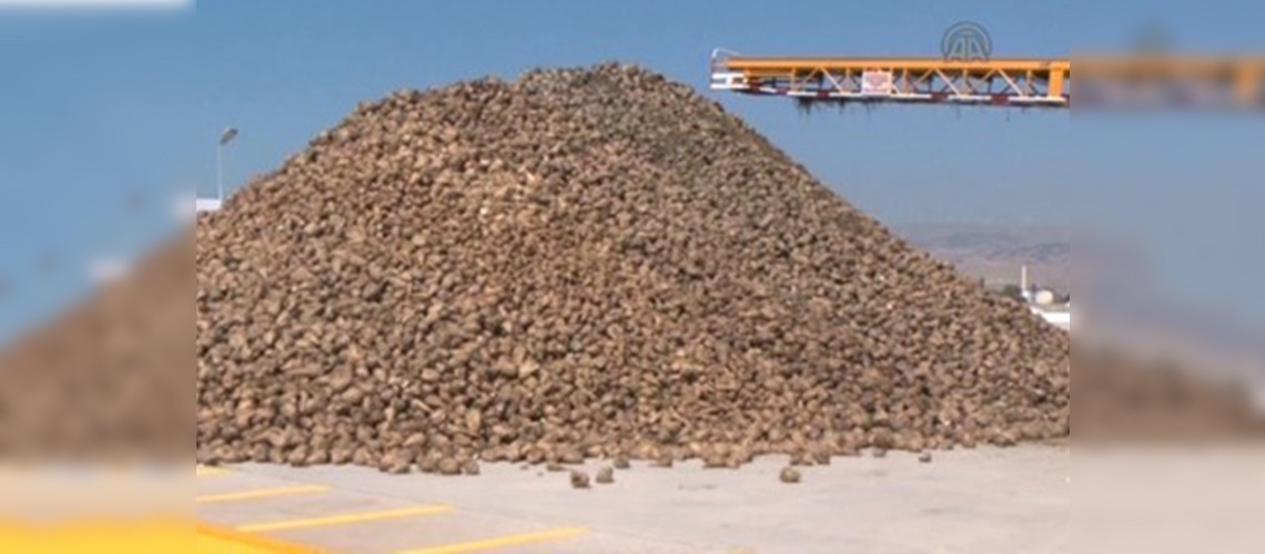 Amasya Şeker Fabrikası  60. Pancar Alım Kampanyası