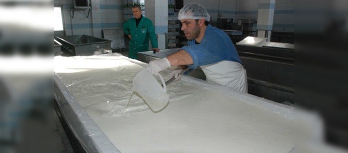 Trakya, süt üretiminde liderliğe oynuyor