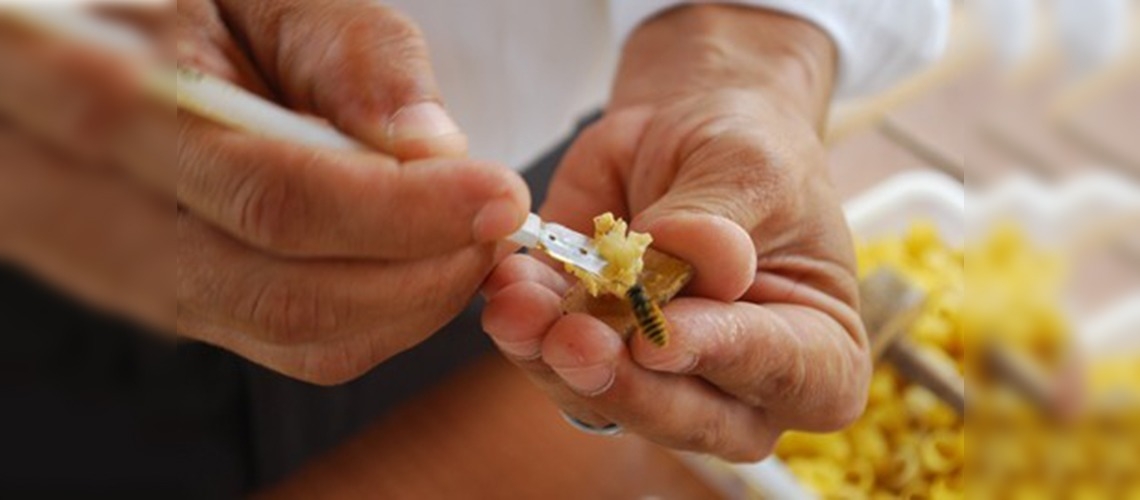 Bu sütün kilosu 10 bin lira 