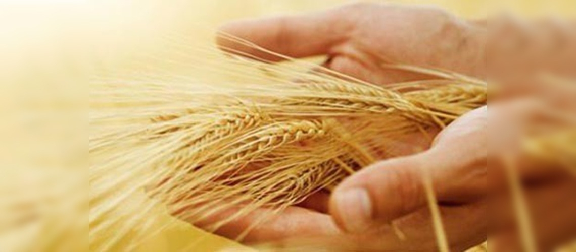 TARSİM Çiftçiye Bire İki Kazandırdı