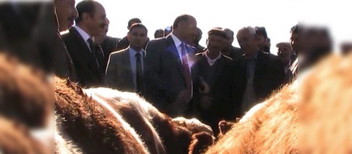 Kurban Bayramı, Ardahan'ın ekonomisini canlandıracak 