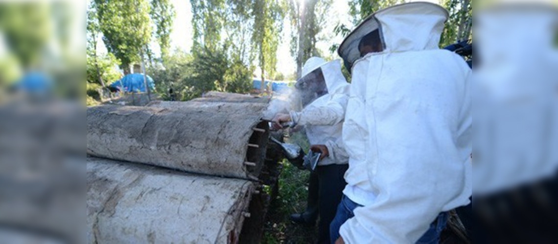 Balda geleneksel üretimden vazgeçmiyor