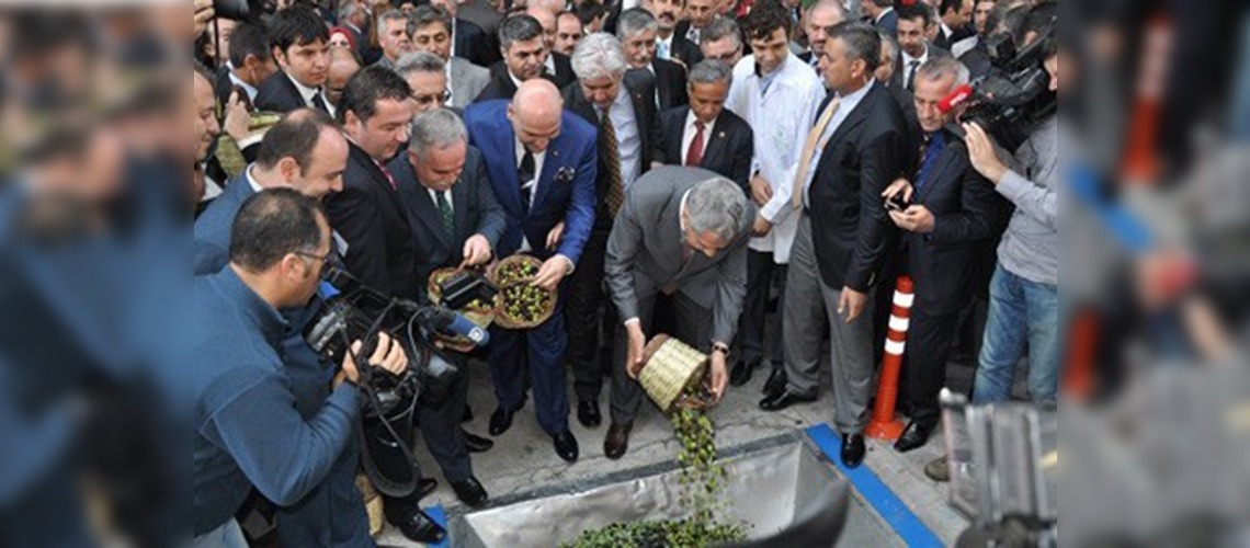 5. Zeytin Hasat Şenliği Akhisarda yapıldı