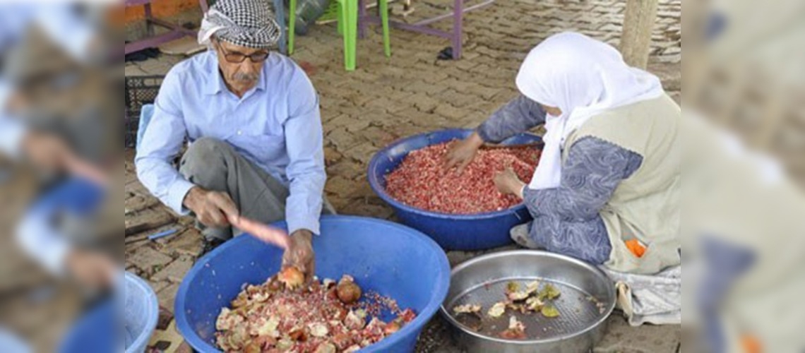 Şanlıurfalı nar üreticisi pazar sorununa çözüm bekliyor