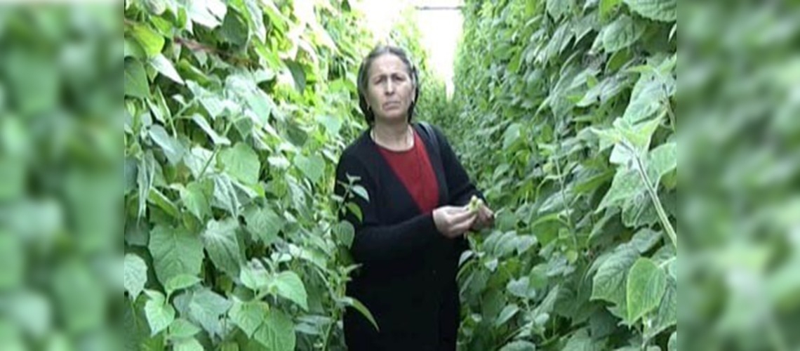 Tarıma yön veren kadın başkan