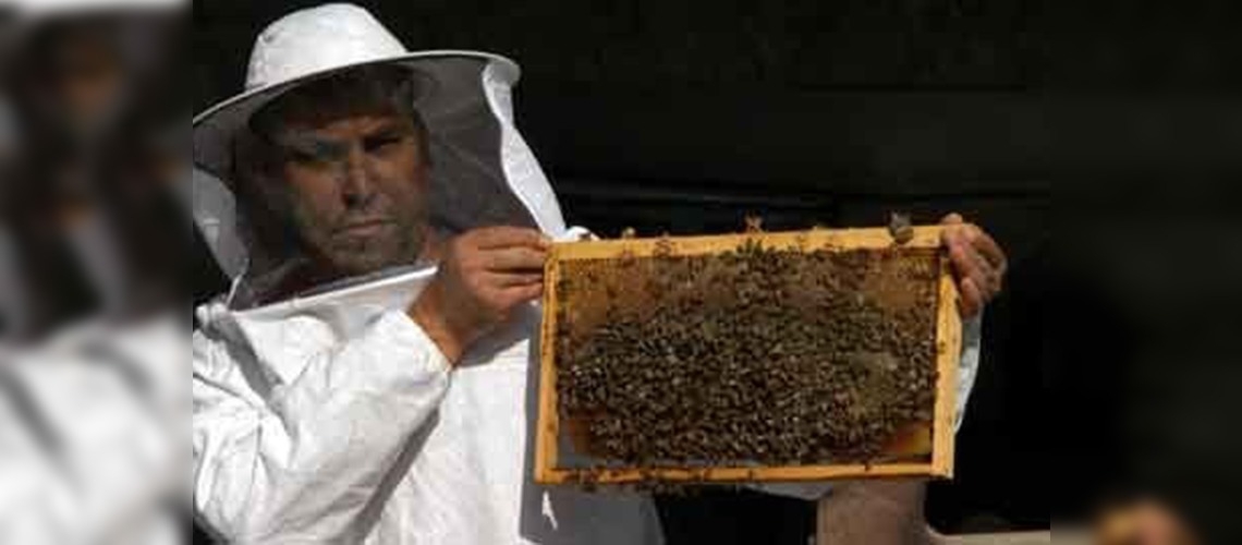 Çözüm süreciyle birlikte bal üretimi katlanacak