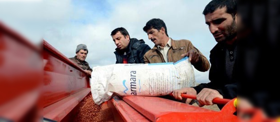 Sarıkamışta soğuğa dayanıklı buğday tohumu ekildi