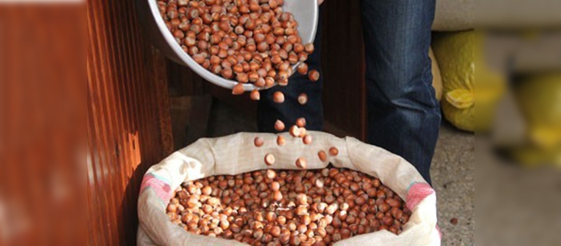 İspanyanın asılsız alfatoksin iddialarına üretici tepkili