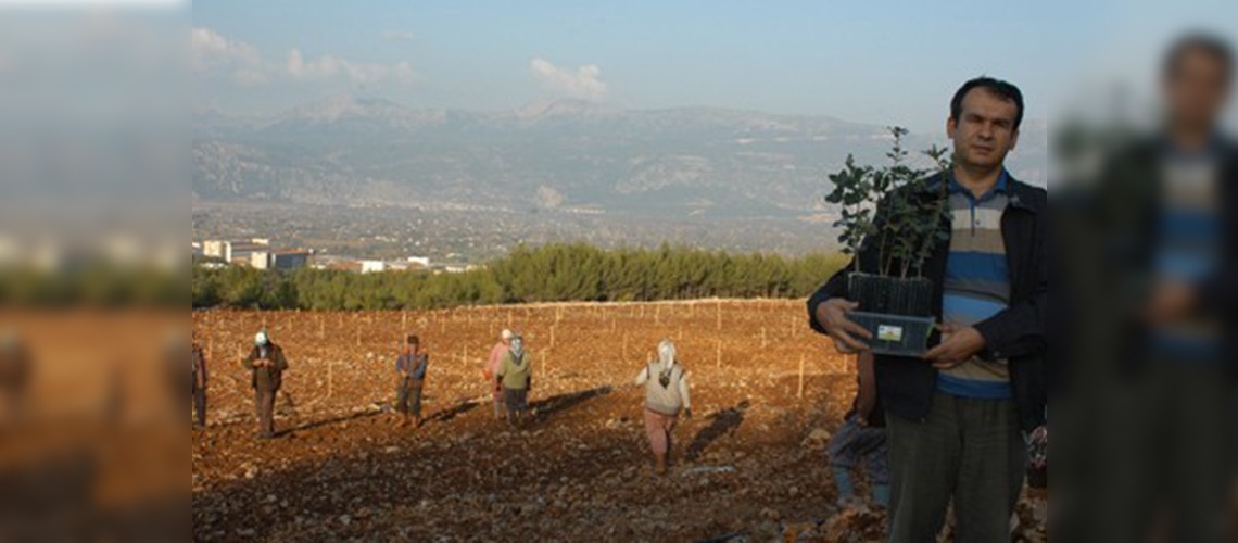 Muğla trüf mantarının merkezi oldu