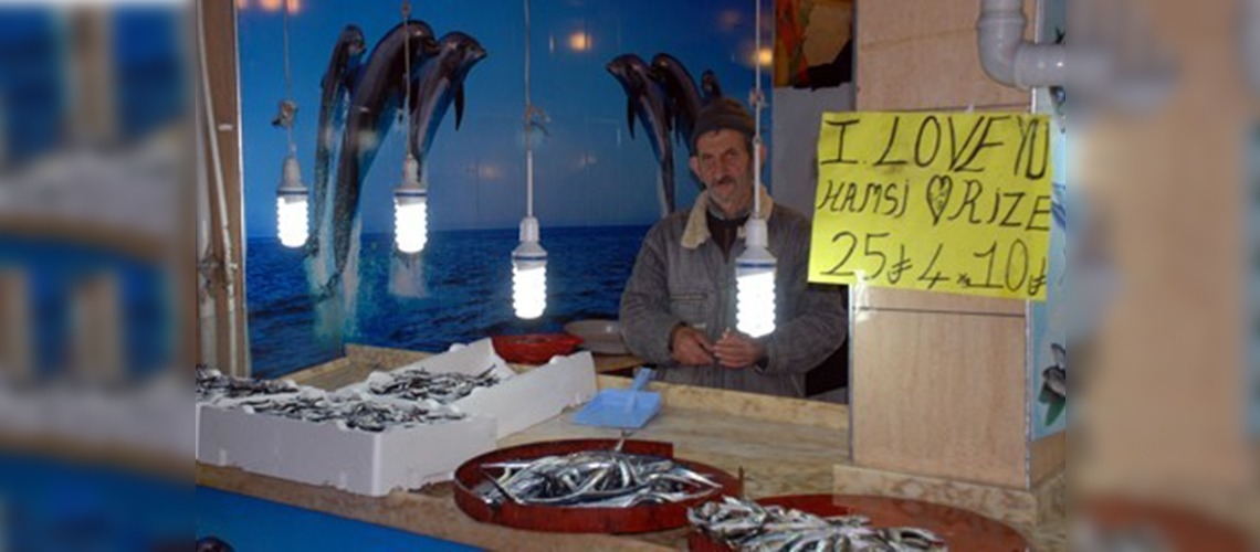 Hamsi avında artış beklentisi