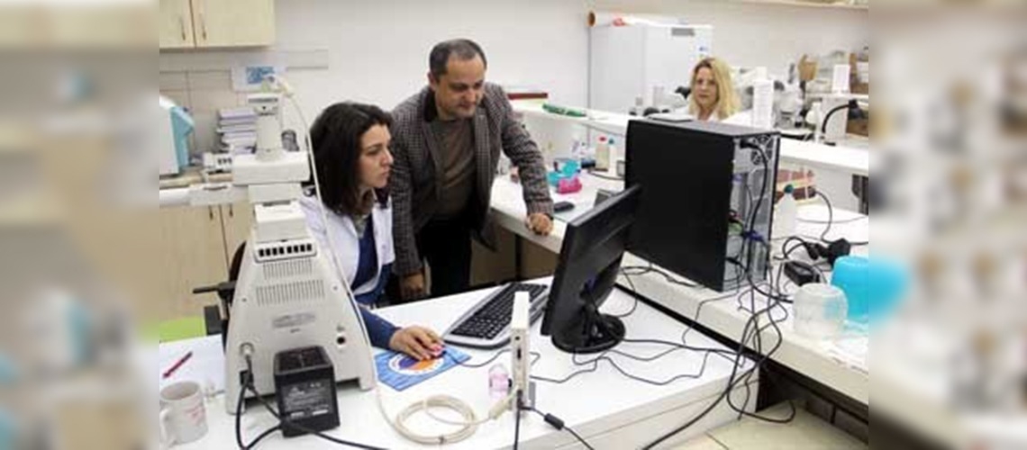 Karadeniz kılıç, uskumru, kolyozunu kaybetti 