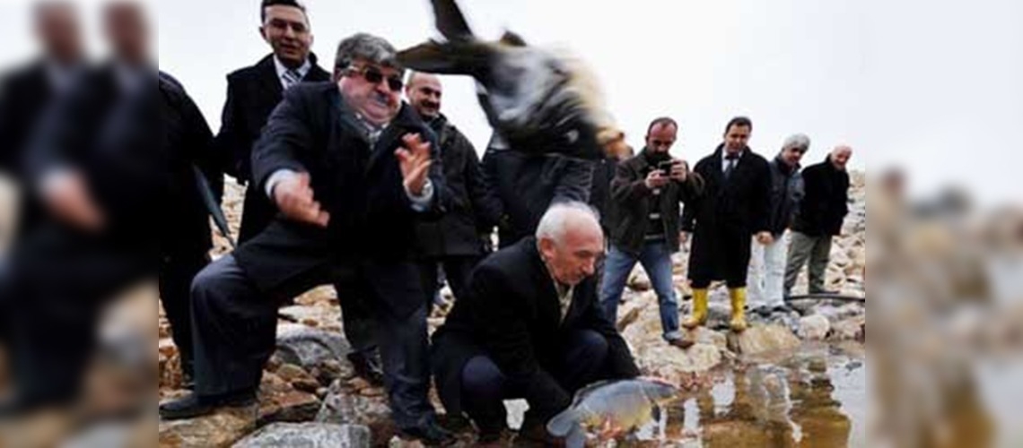 İstilacı balığa anaç önlemi