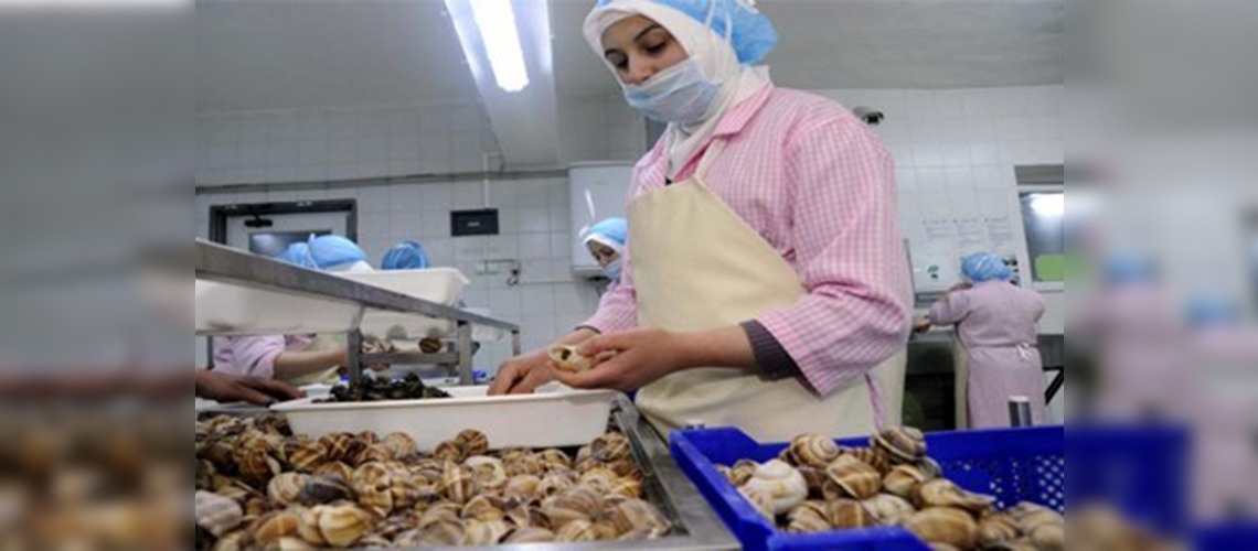 Kabuğu bile milyonlarca avro kazandırıyor