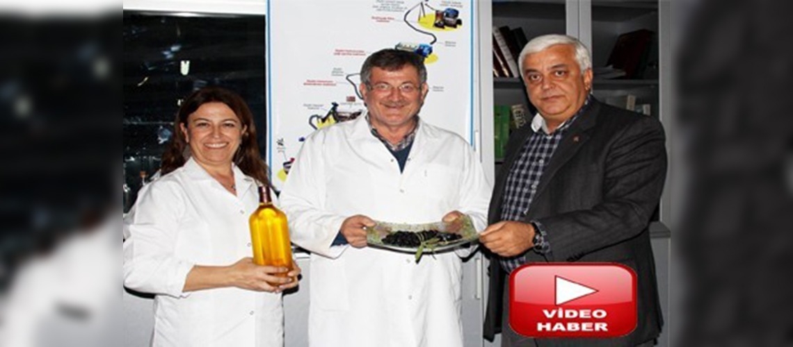 Zeytin karasuyu problem olmaktan çıkıyor