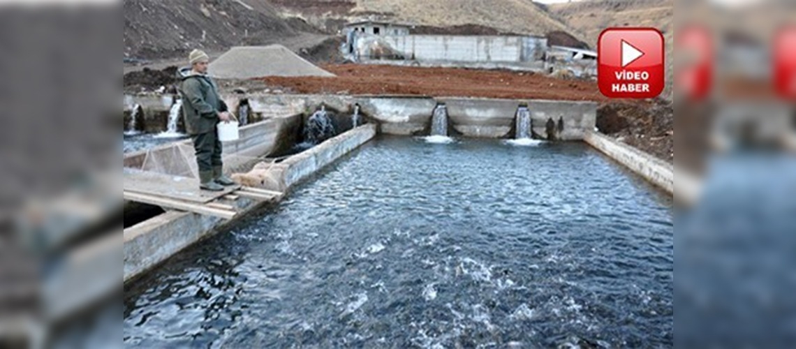 Balık tutma hobisini yatırıma dönüştürdü