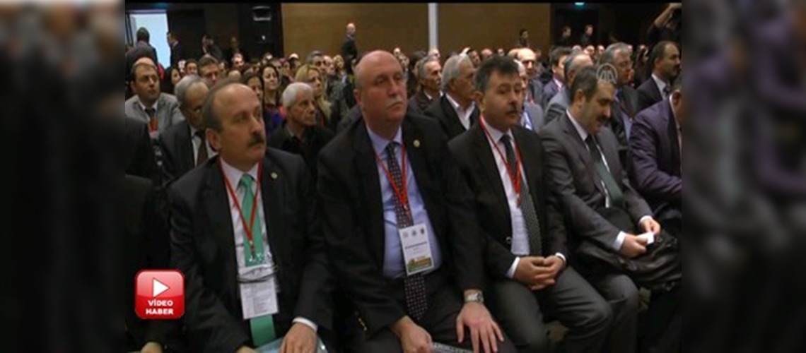 Mirmahmutoğulları: Fındıkta kalite ve çeşitliliği arttırmalıyız