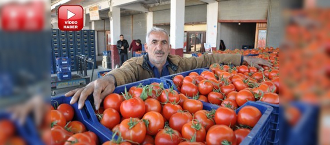 Soğuk hava domates fiyatlarını yükseltti