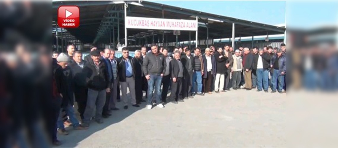 Denizlide hayvan refahı eğitimi