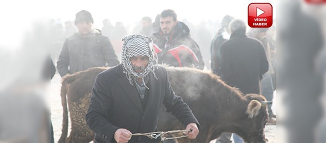 Besicilerin soğukla imtihanı 