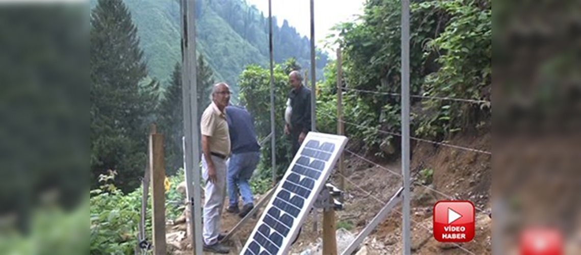 Arı kovanları, ayılardan elektrikli çitlerle korunacak 