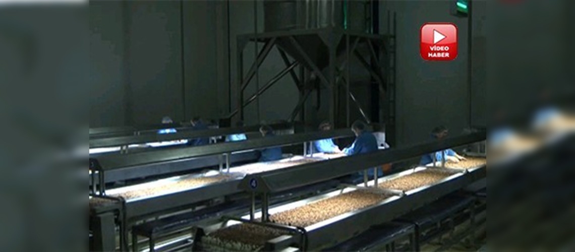 Fındık ihracatçısının yüzü 2013'te güldü