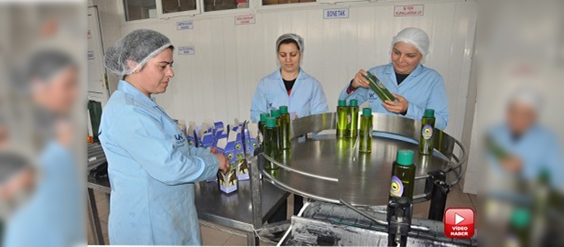 Sofralık değil, kozmetik zeytin