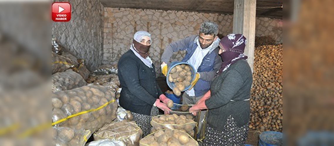 Çiftçiler depoladığı patatesi elinden çıkartsın