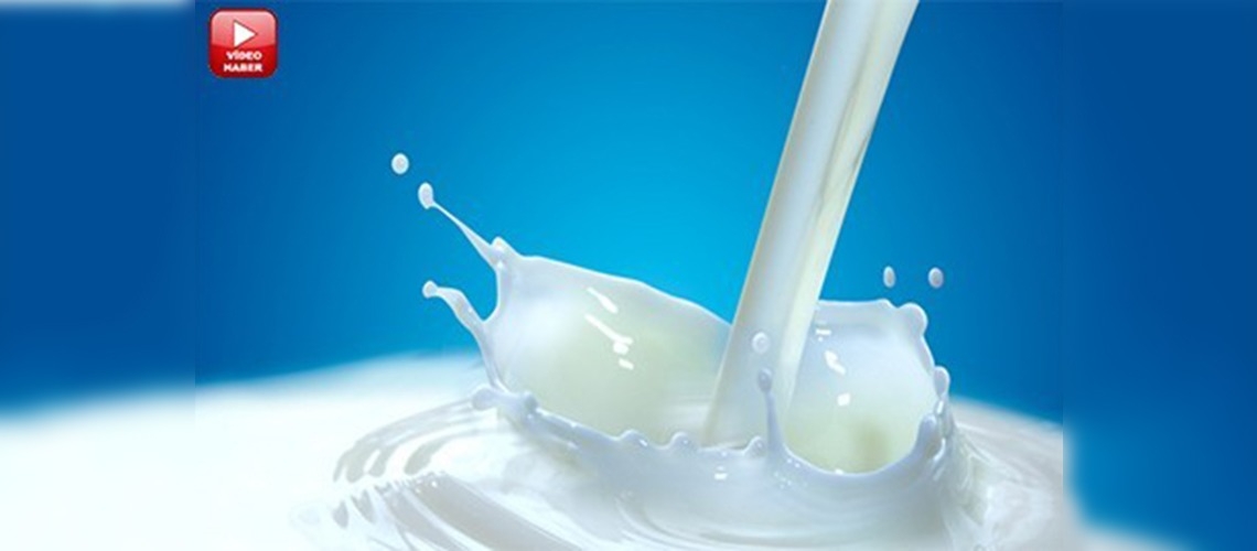 Süt üretiminde büyük artış