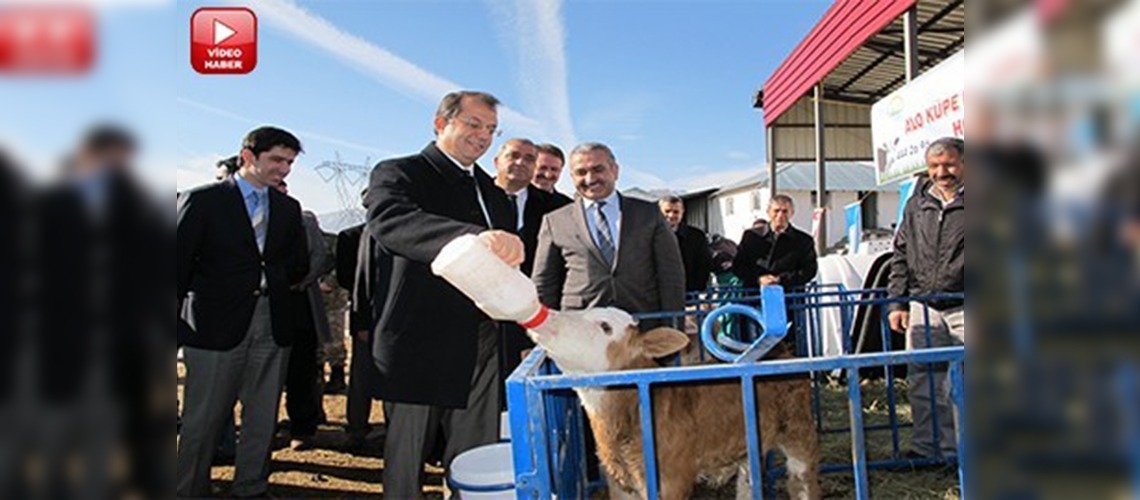 Bingölde Alo Küpe Hattı Hizmette