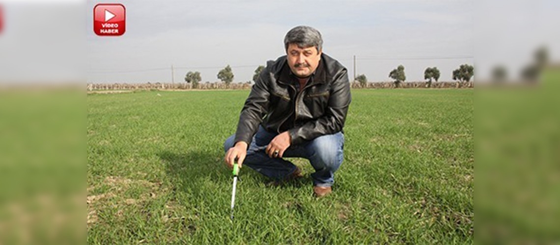 Yağışsız mevsim çiftçiyi korkutuyor