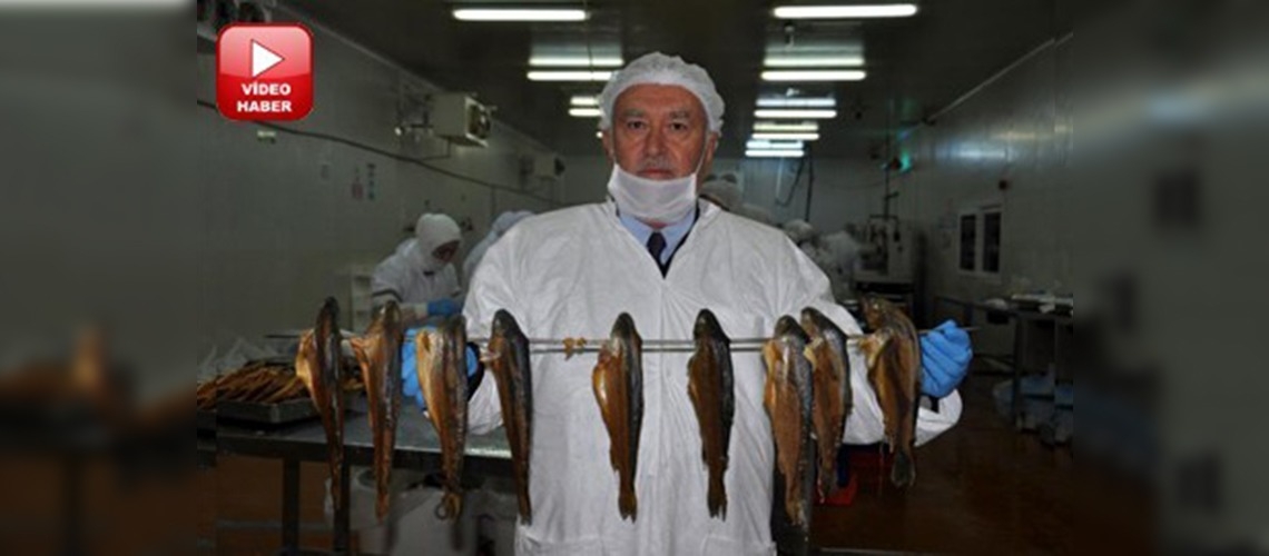 Çobanlıktan ihracat şampiyonluğuna