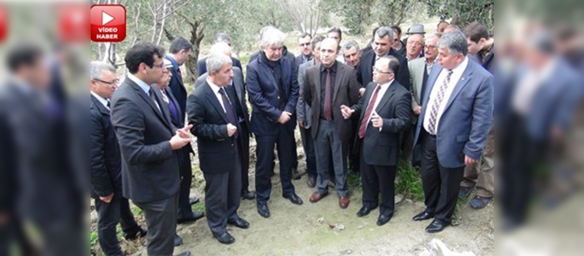 Akhisarda zeytin tarla günü düzenlendi