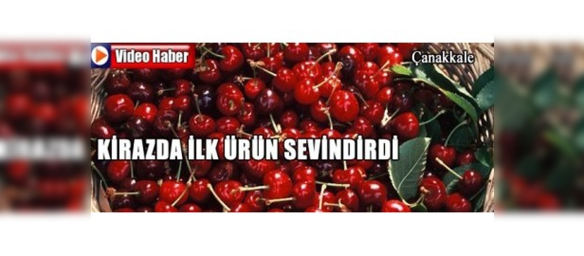 Kirazda İlk Ürün Sevindirdi