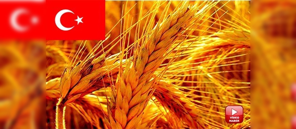 Türkiye tarımsal gelirde Avrupanın lideri 
