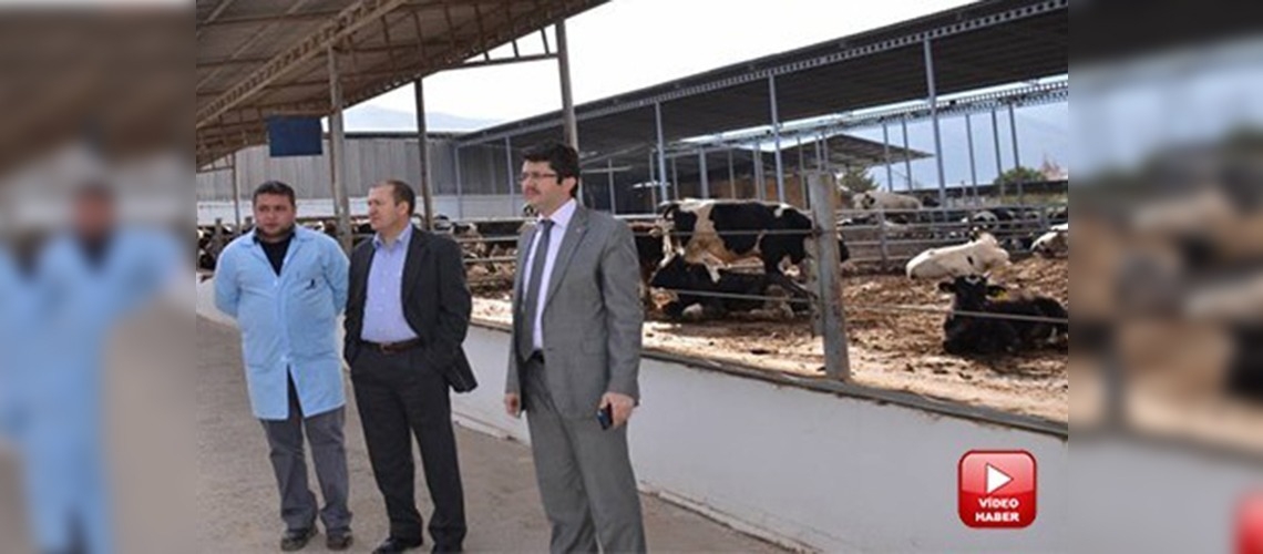 Denizli, kombinasına kavuşuyor