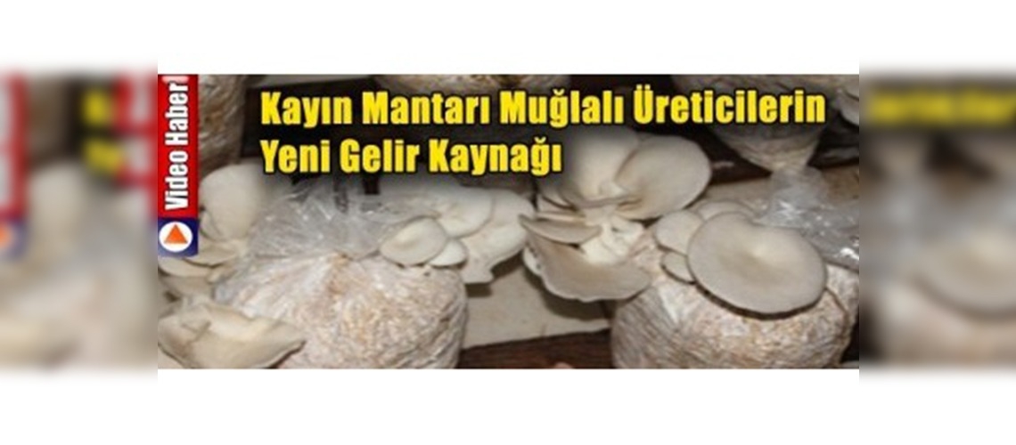 Çiftçinin Yeni Gözdesi 