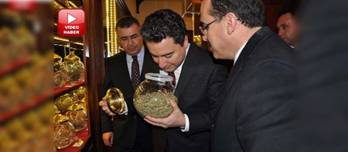 Babacan, Hatayda Aromatik Bitkiler Müzesini gezdi