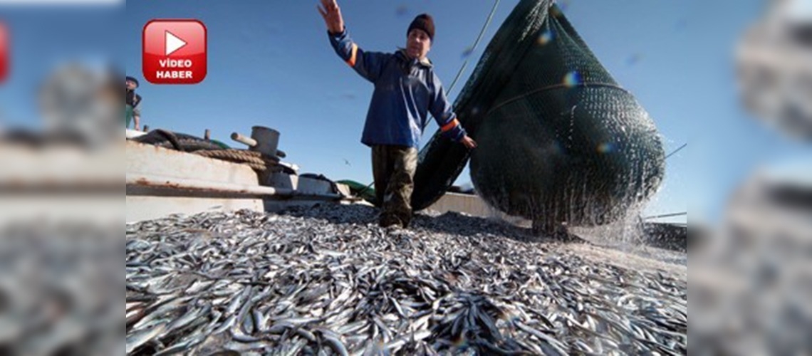 Hamside ikinci bahar yaşanıyor