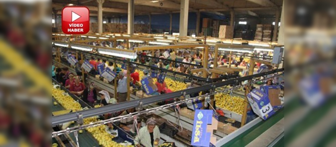 Limon ihracatında yeni kapı Japonya