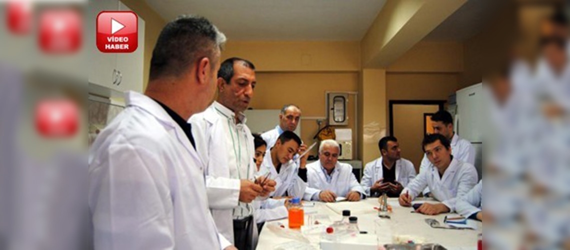 Balık hastalıklarını Türkiyede öğreniyorlar